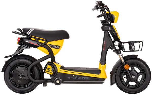Xe điện Giant ELEM 133***